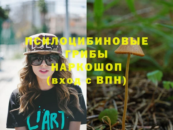 стафф Алексин