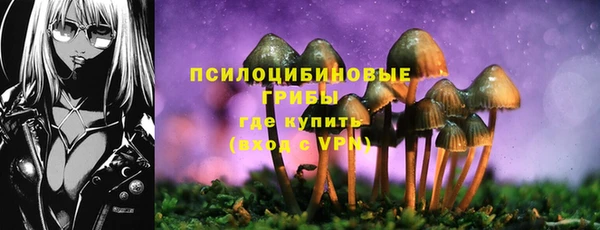 стафф Протвино