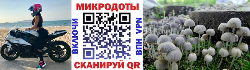 купить наркотик  Чехов  Галлюциногенные грибы MAGIC MUSHROOMS 