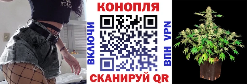 Бошки марихуана VHQ  Чехов 